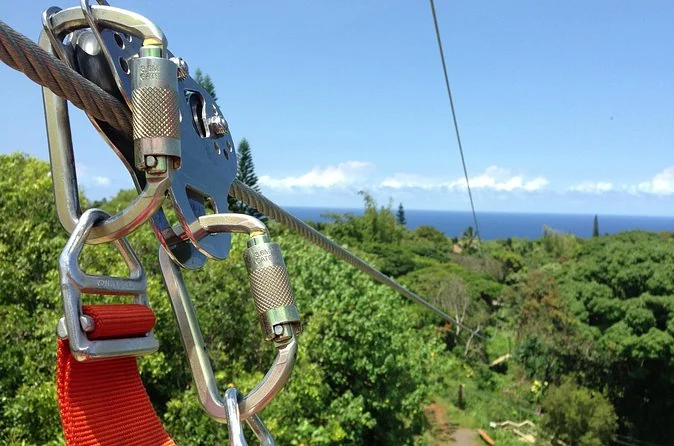 Maui Dschungel-Zipline-Tour