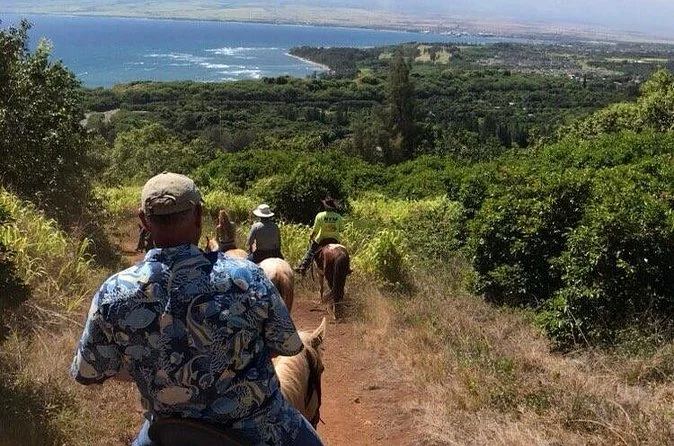 West Maui Mountains: Ausritt zu Wasserfall & Meer